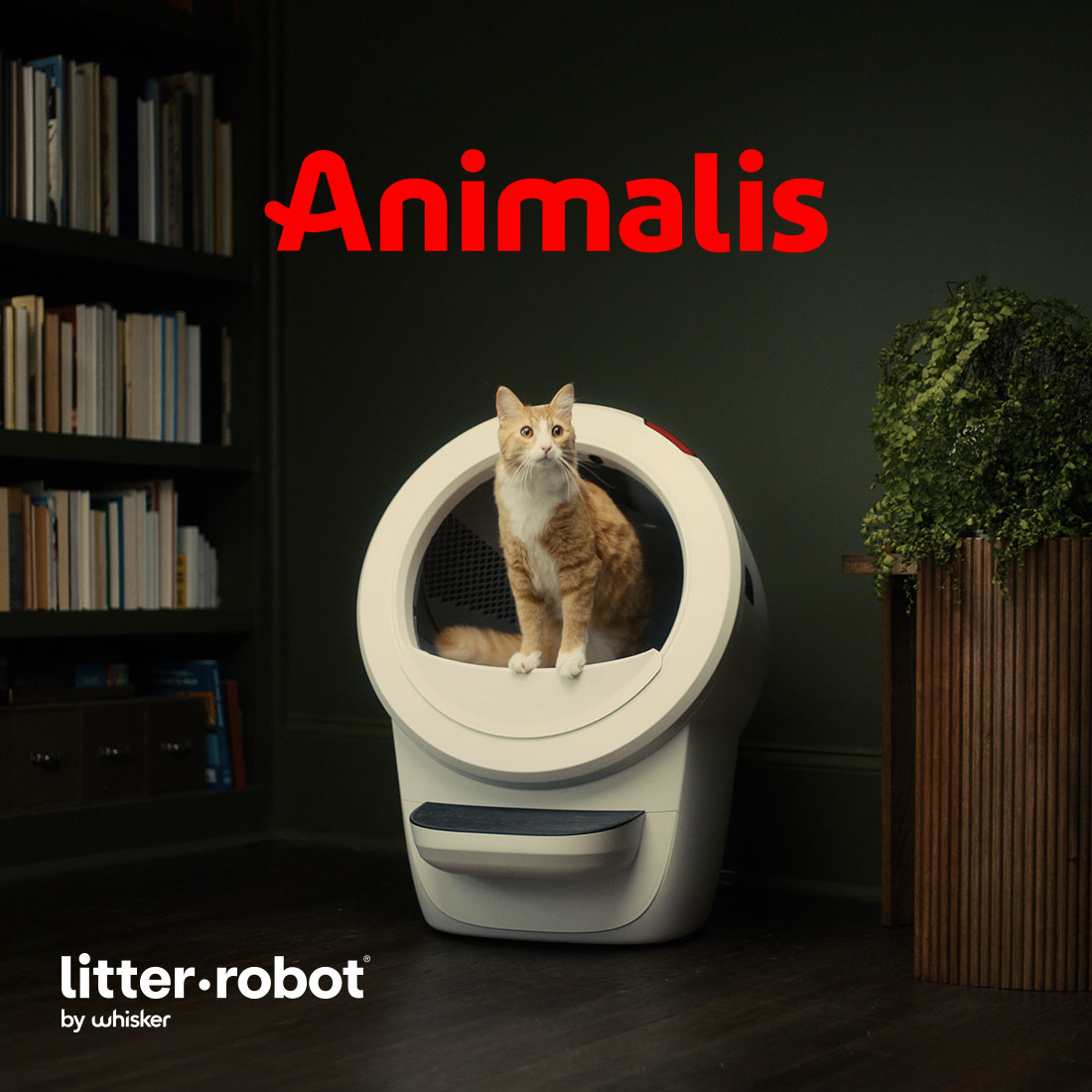 Litter-Robot by Whisker Facebook ad