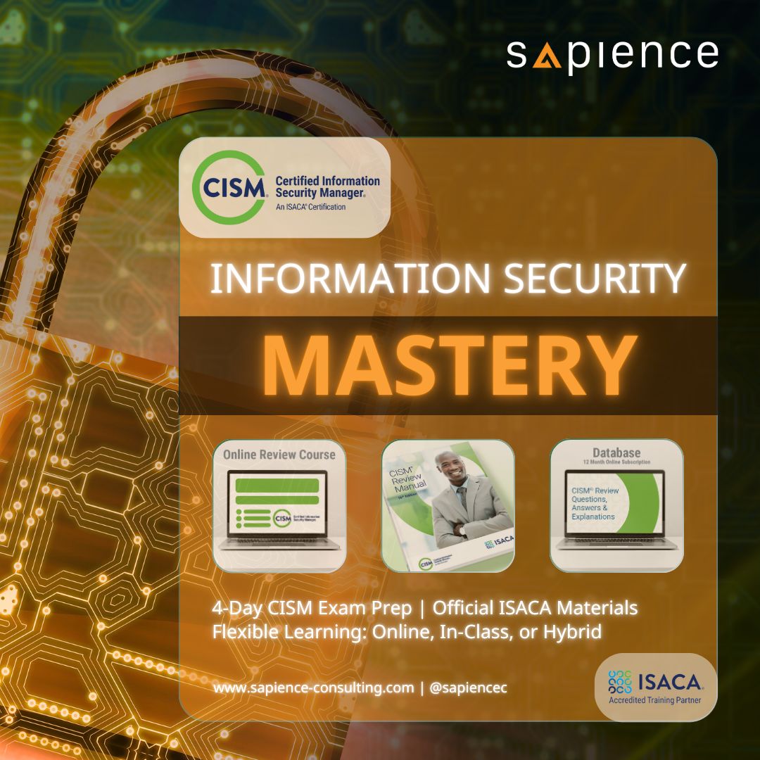Sapience Consulting Facebook ad
