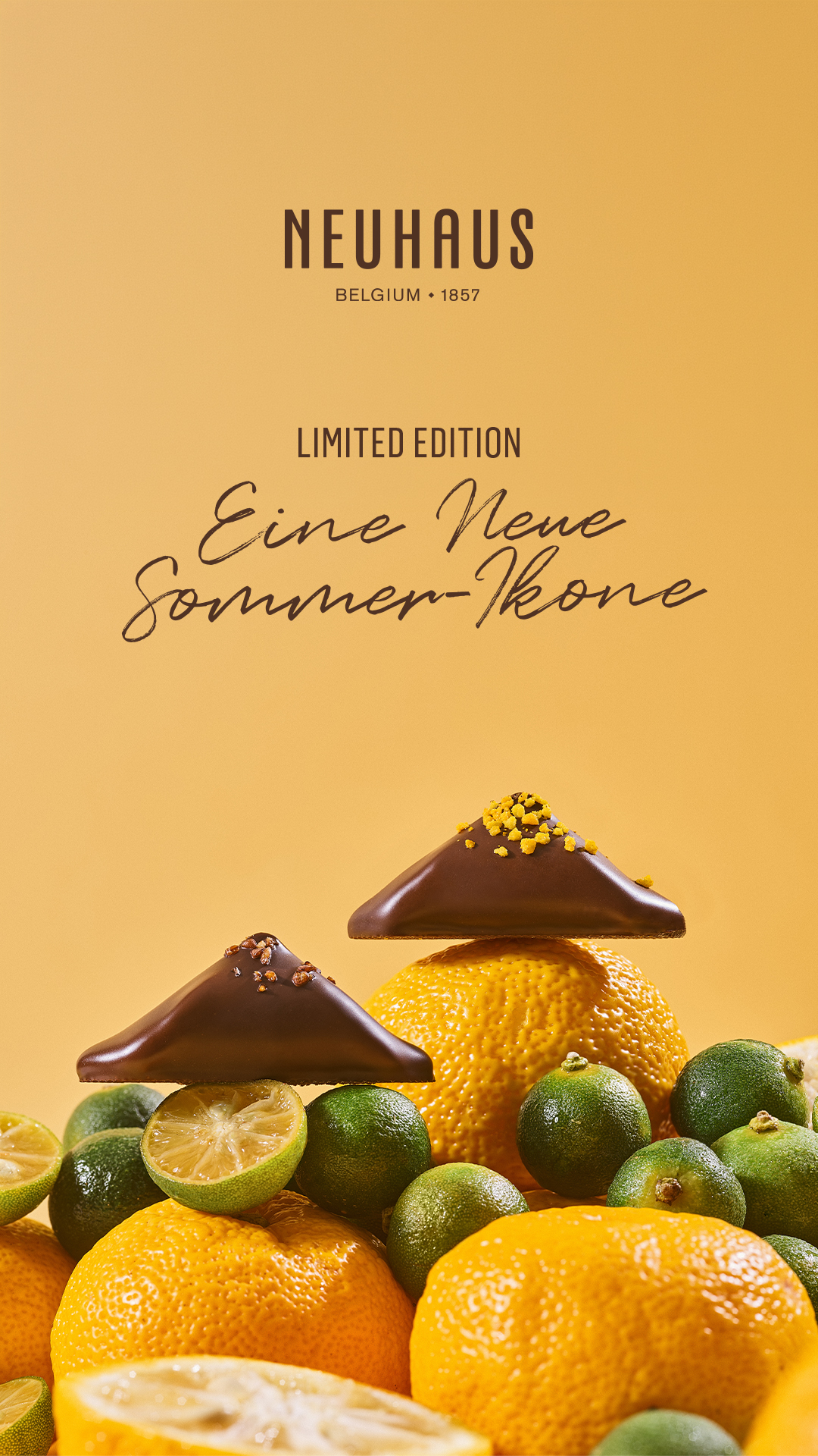 Neuhaus Facebook ad