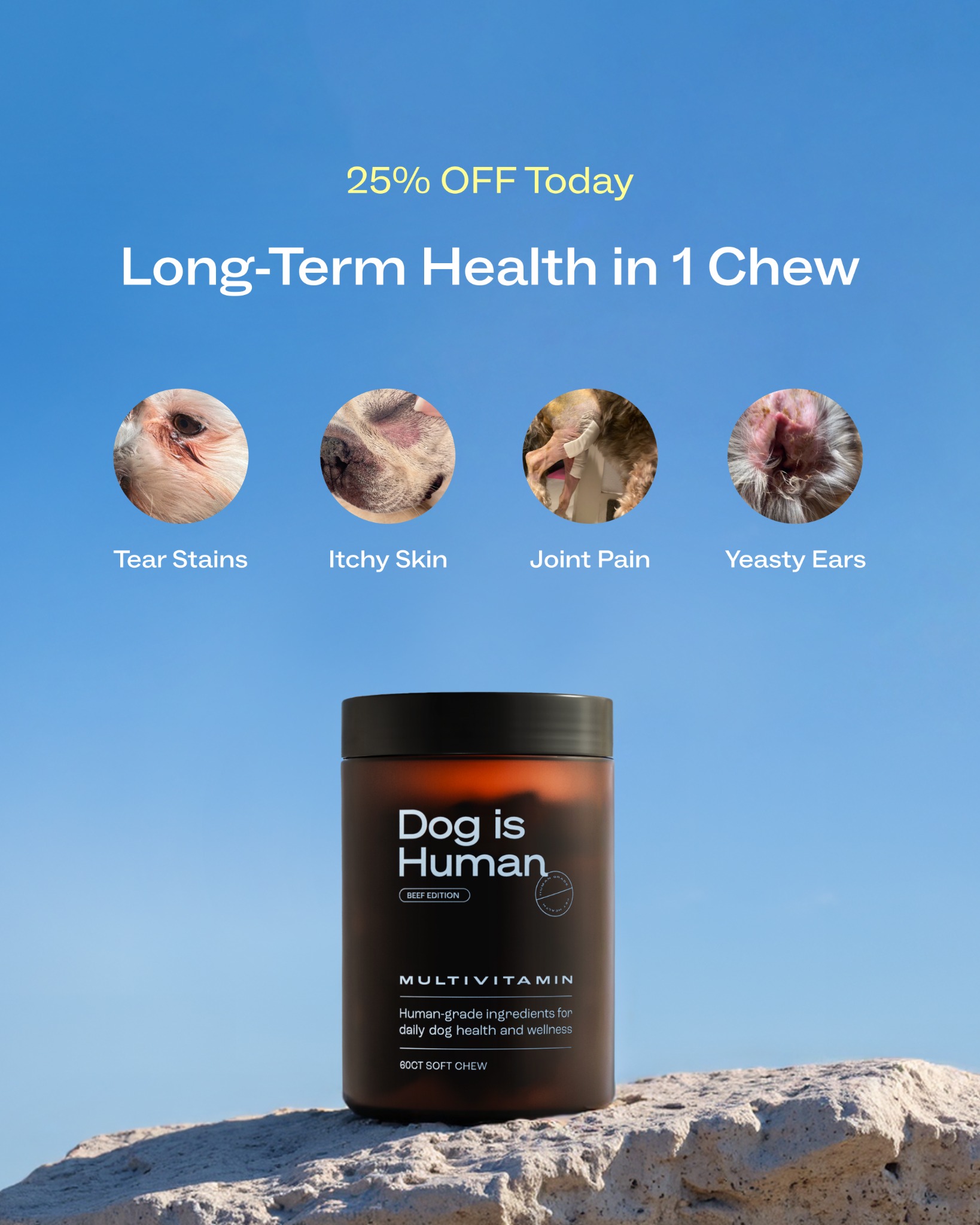 Dog is Human Facebook ad