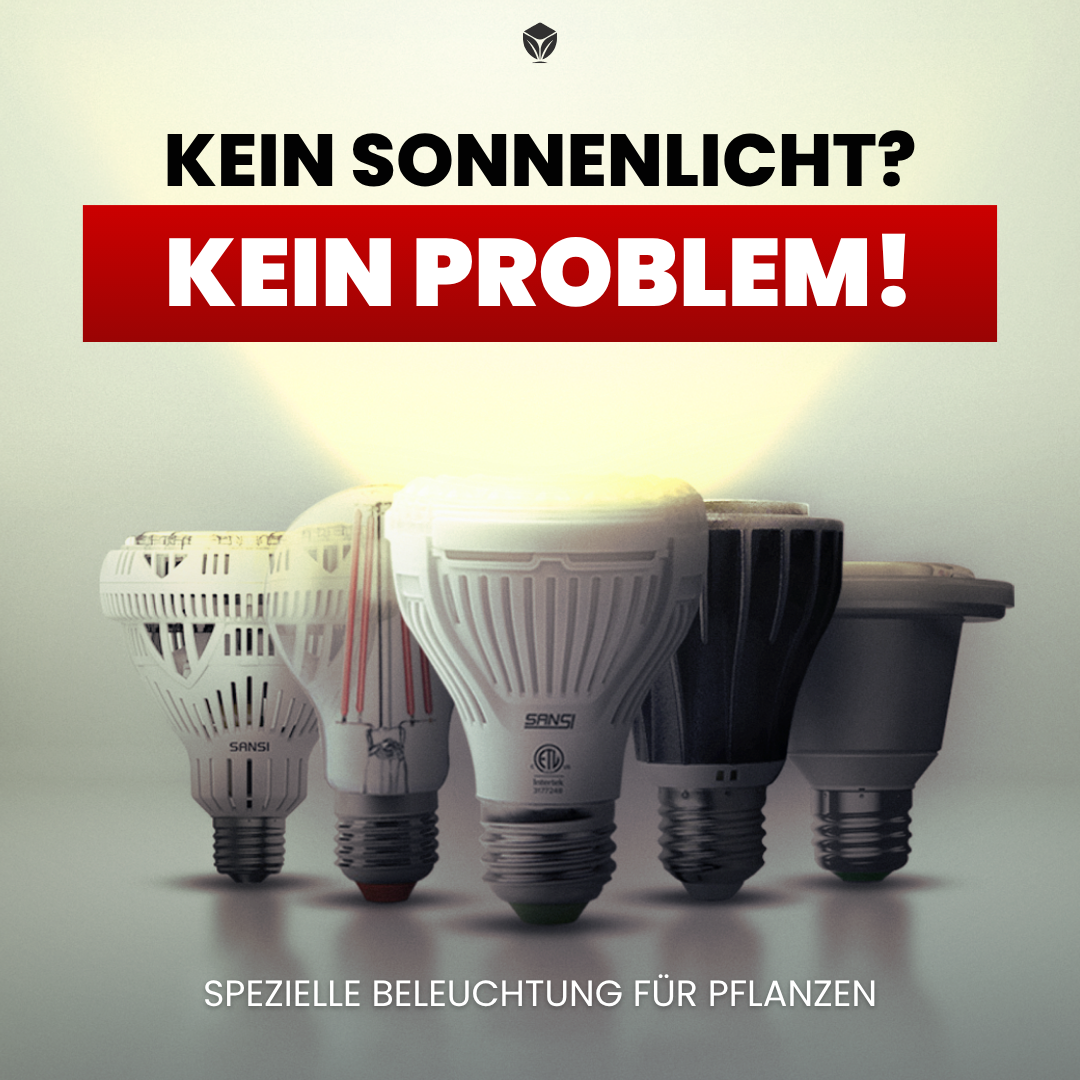 Grüngarten Facebook ad