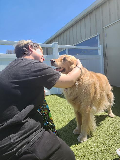 Karnik Pet Lodge of Toledo Facebook ad: Your dog is more than just a dog…
