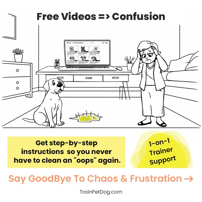 Train Pet Dog Facebook ad: Click To Claim Your $30 Discount