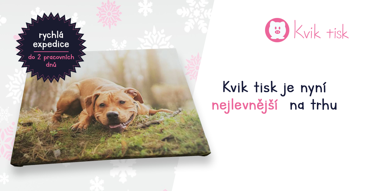 Kvik tisk Facebook ad: Kvalitní fotoobrazy na zeď - Nejlevnější fotoplátna na trhu
