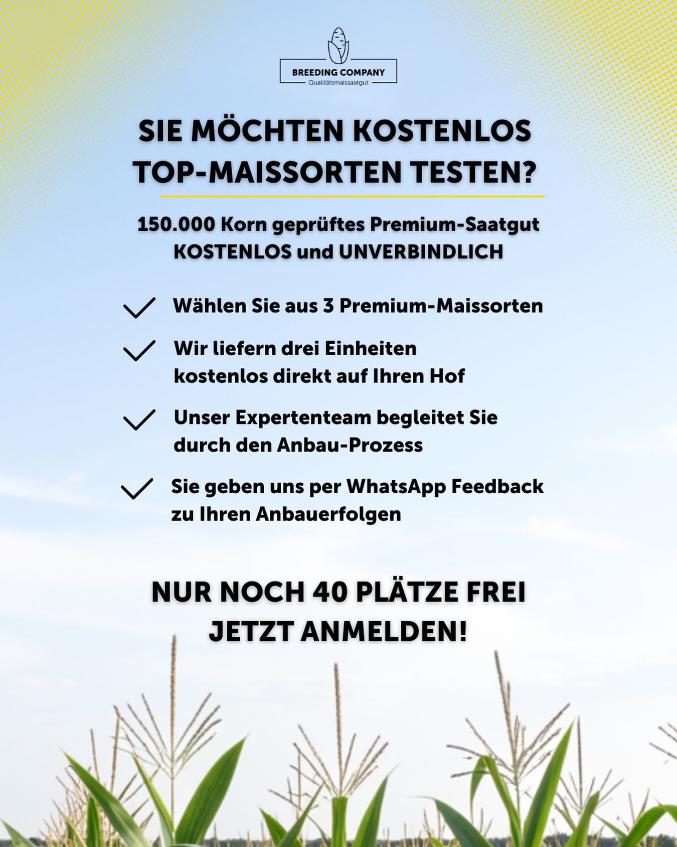 Breeding Company Facebook ad: Breeding Company, Premium-Mais-Sorten-im-Testanbau-fuer-2026