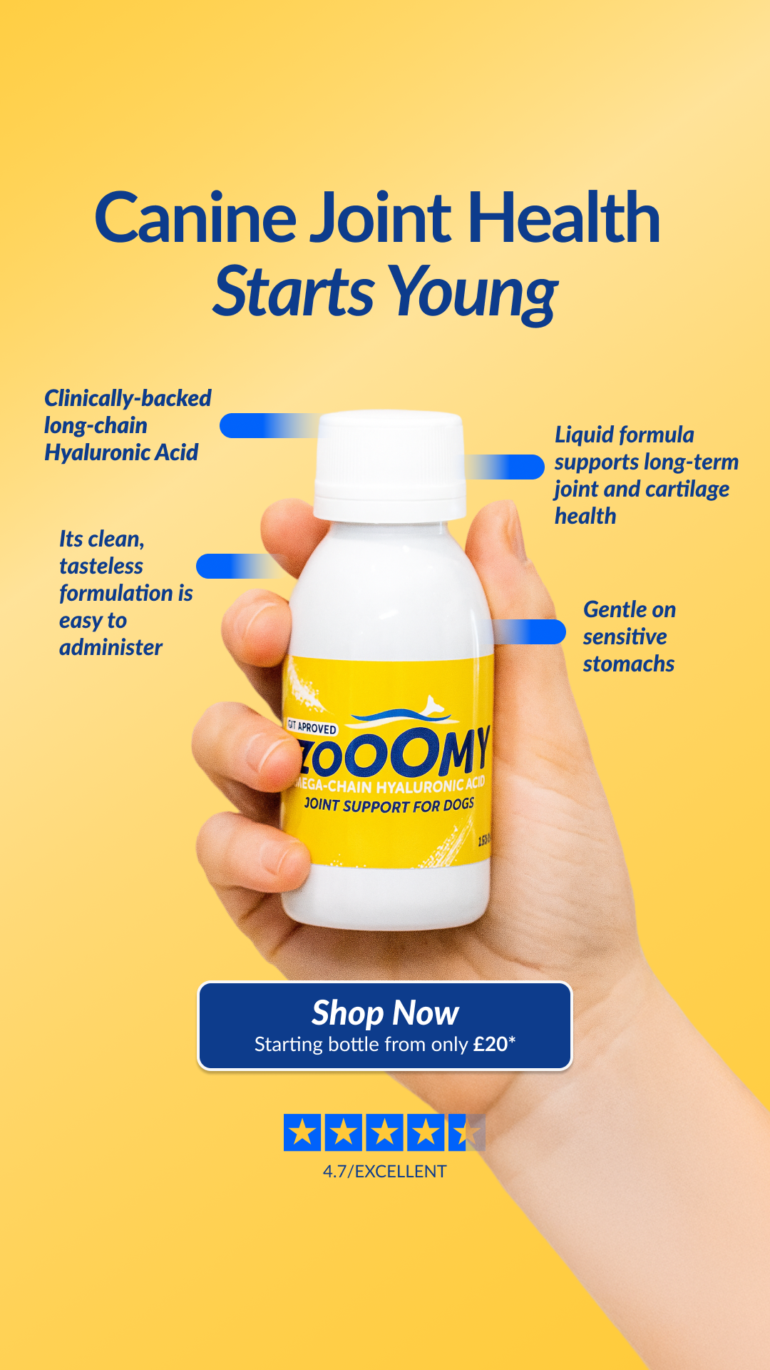 ZooomyDog Facebook ad