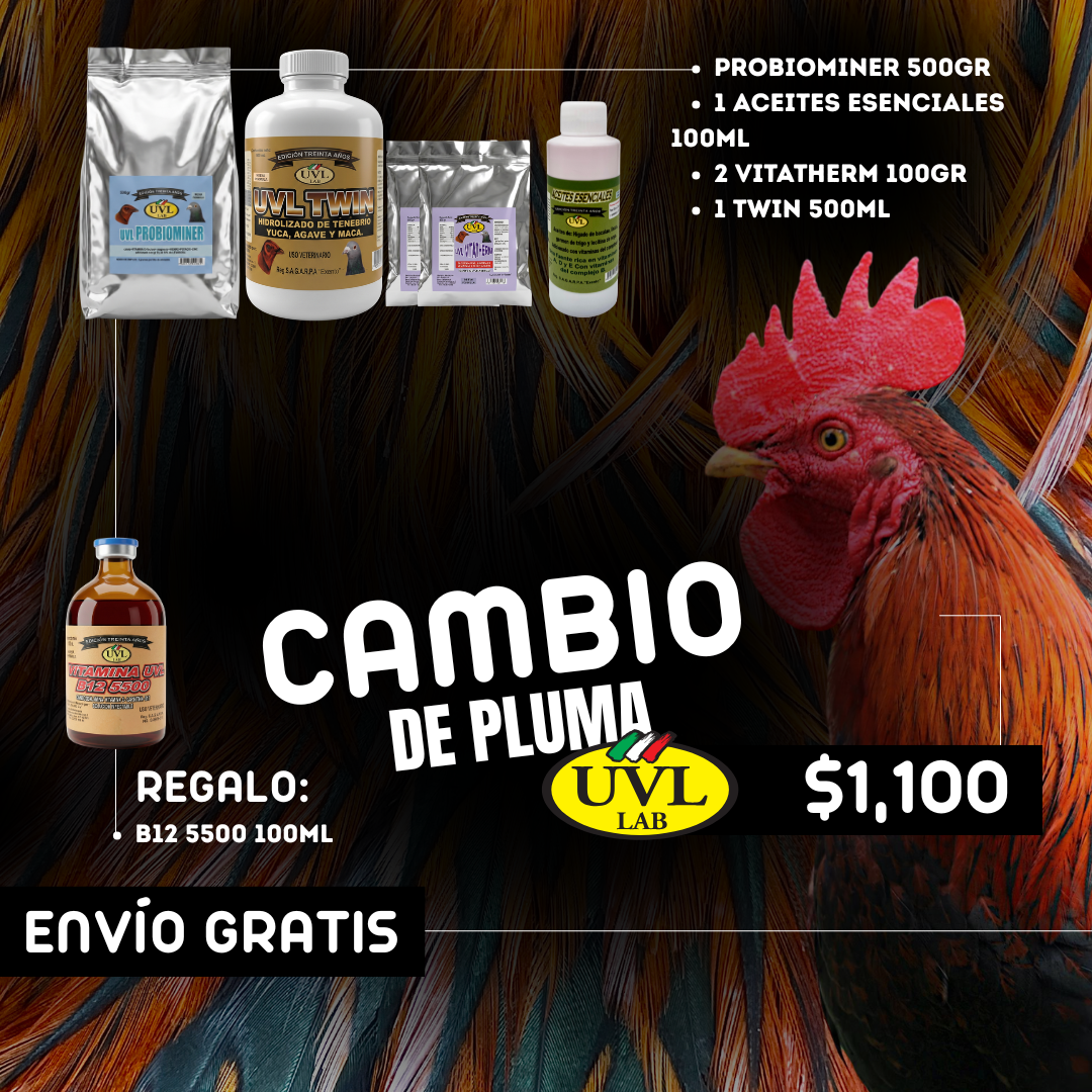 Gallomaquia on line Facebook ad: Promociones especiales para mantener tus aves sanas y…