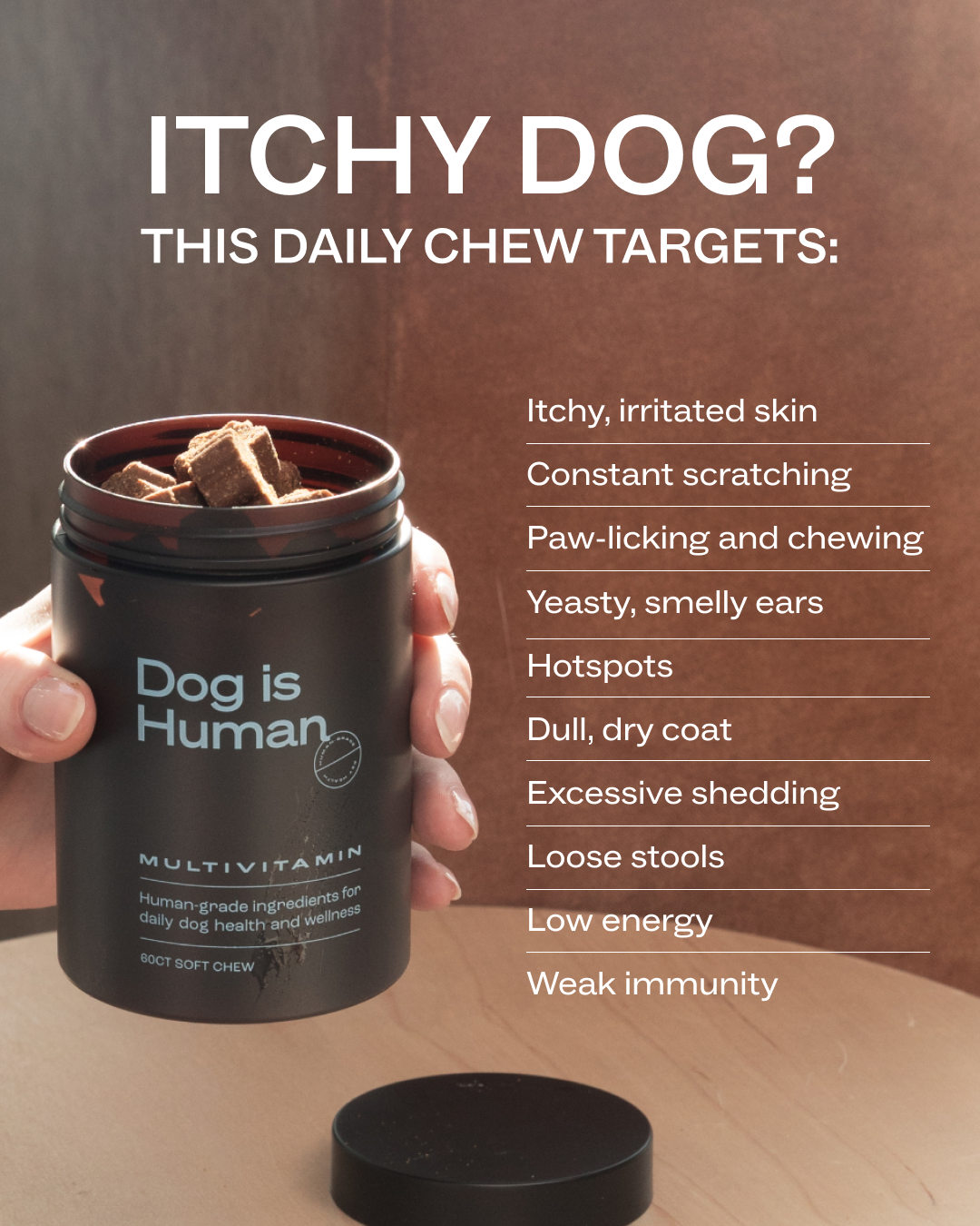 Dog is Human Facebook ad: Real results in just 1 tasty chew