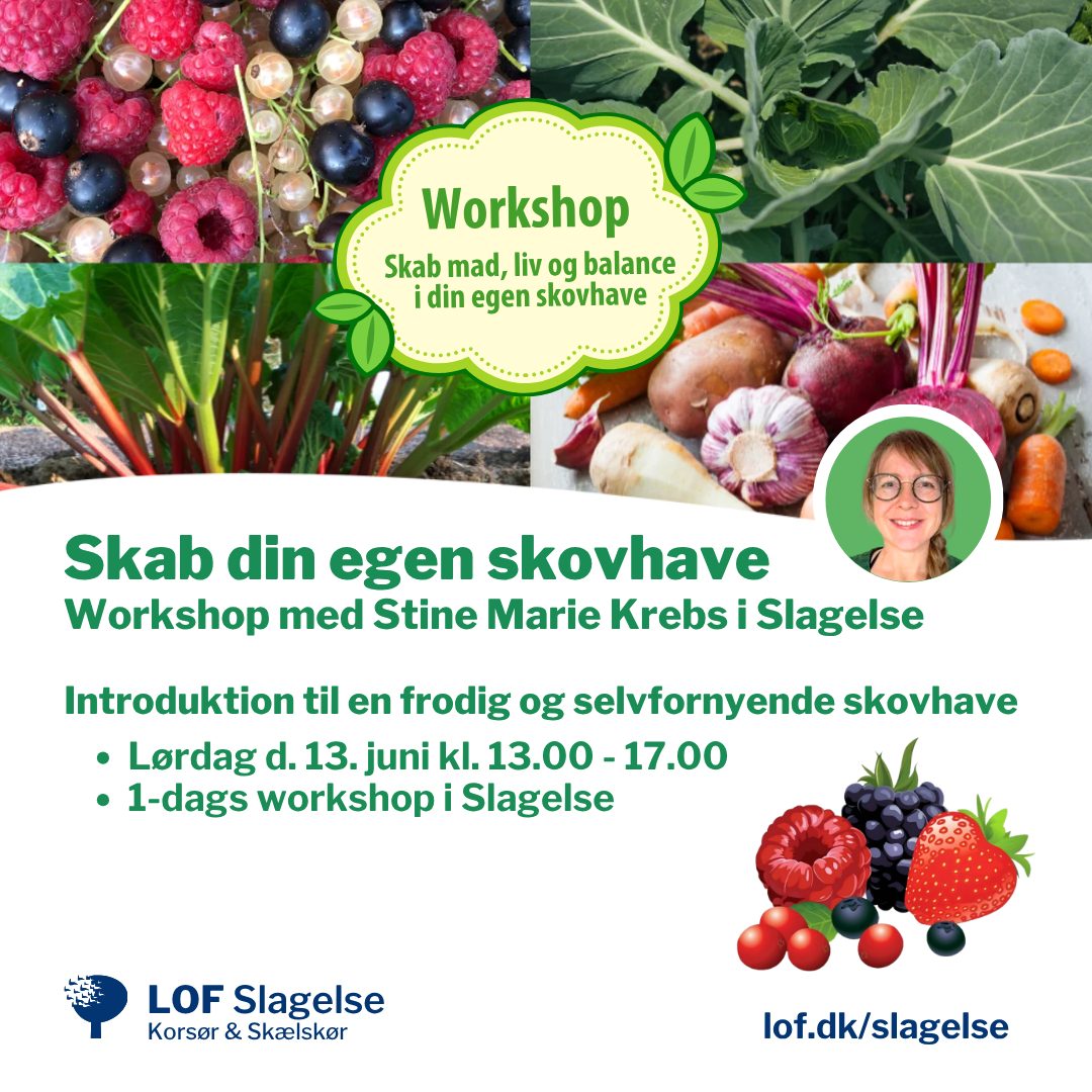 LOF Slagelse - Korsør - Skælskør Facebook ad