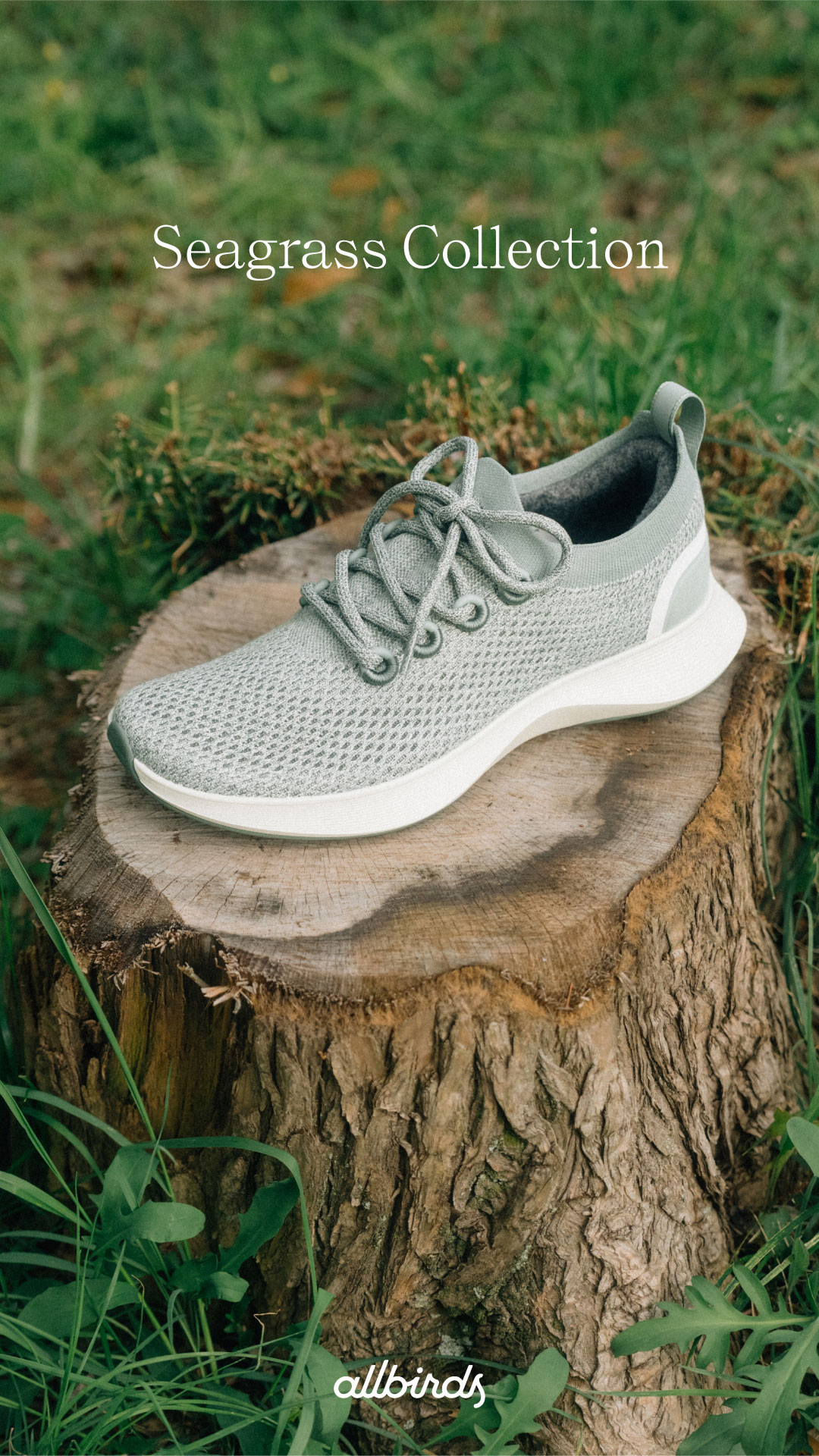Allbirds Japan Facebook ad