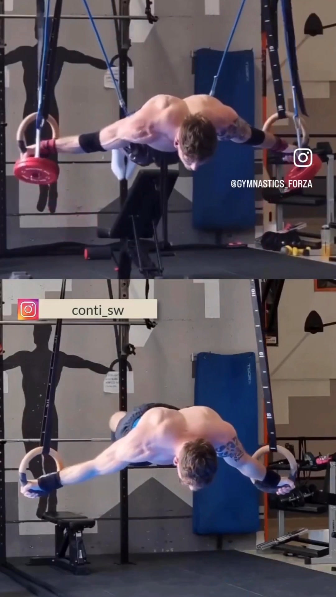 Gymnastics Forza Facebook ad: One System. Every Discipline.