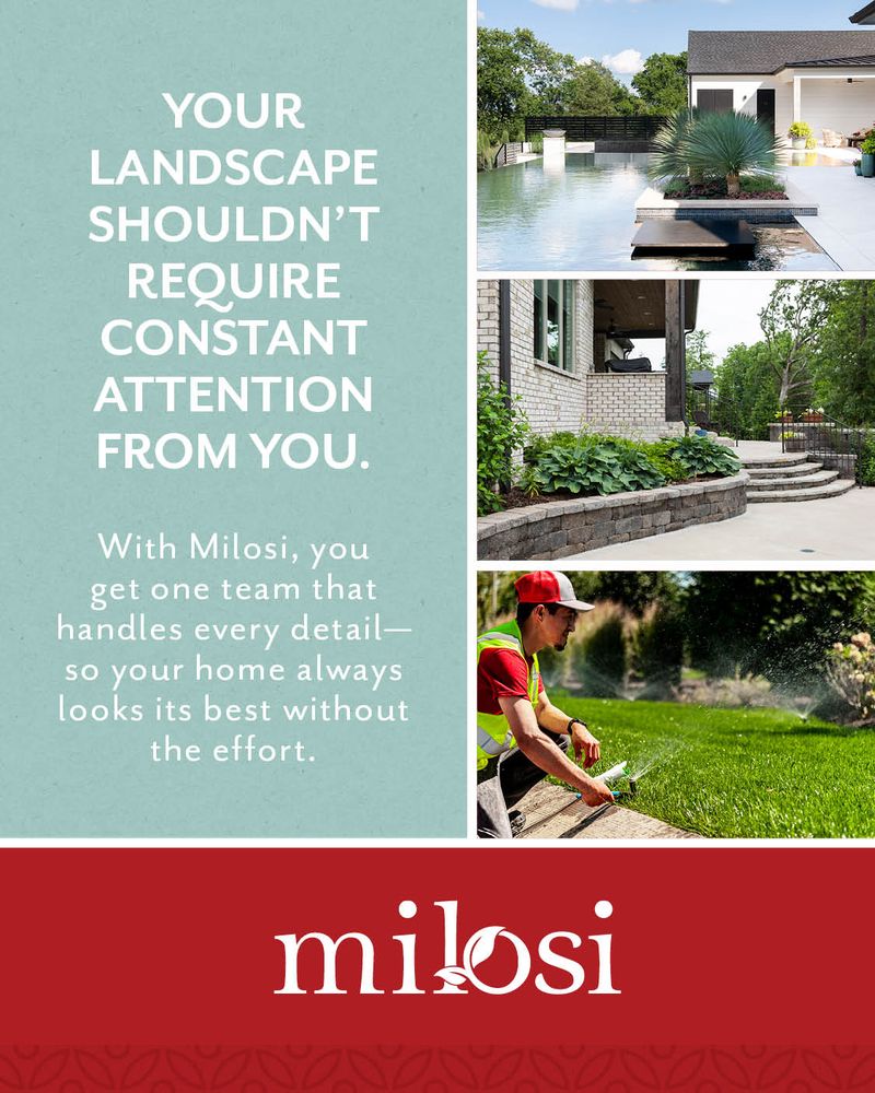 Milosi Facebook ad: A Landscape That’s Always Ready