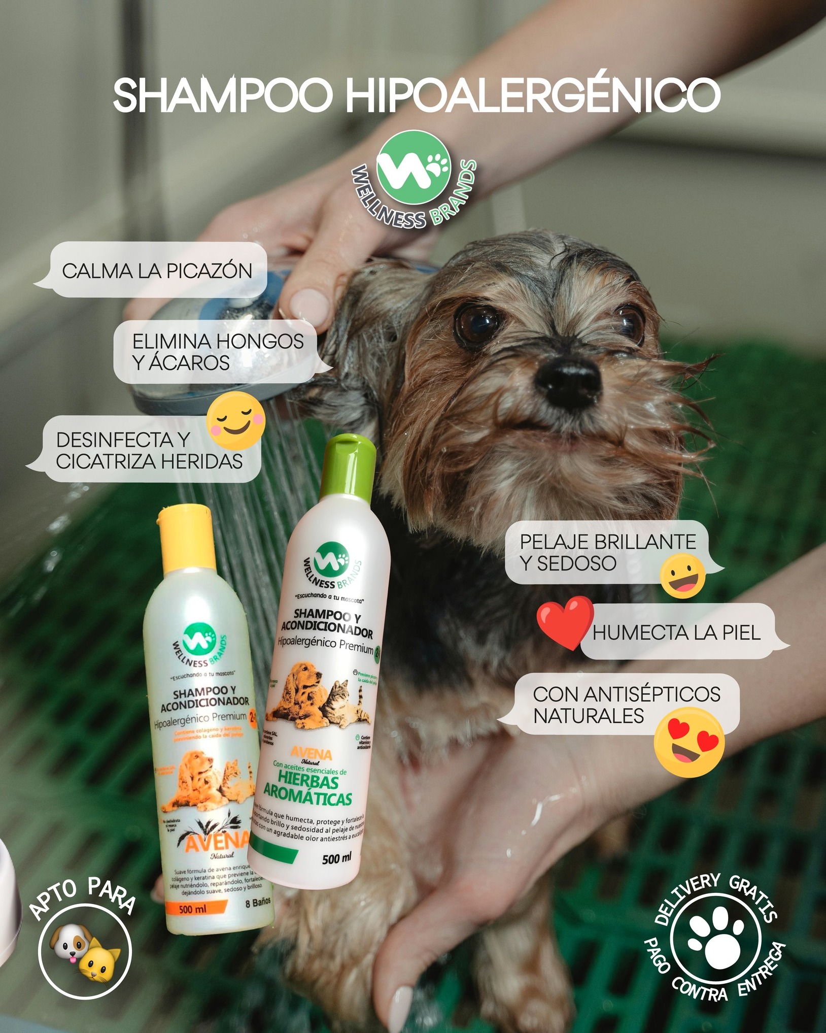 Wellness Brands Facebook ad