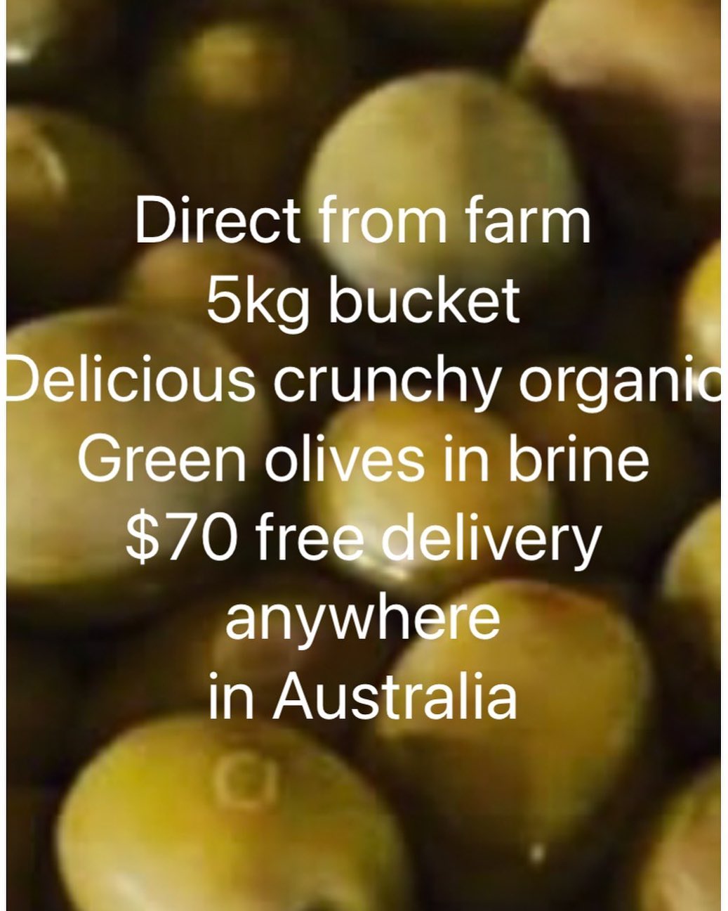 Nuggetty Creek Olive oil Facebook ad: These delicious crunchy,organic green olives in a salt…