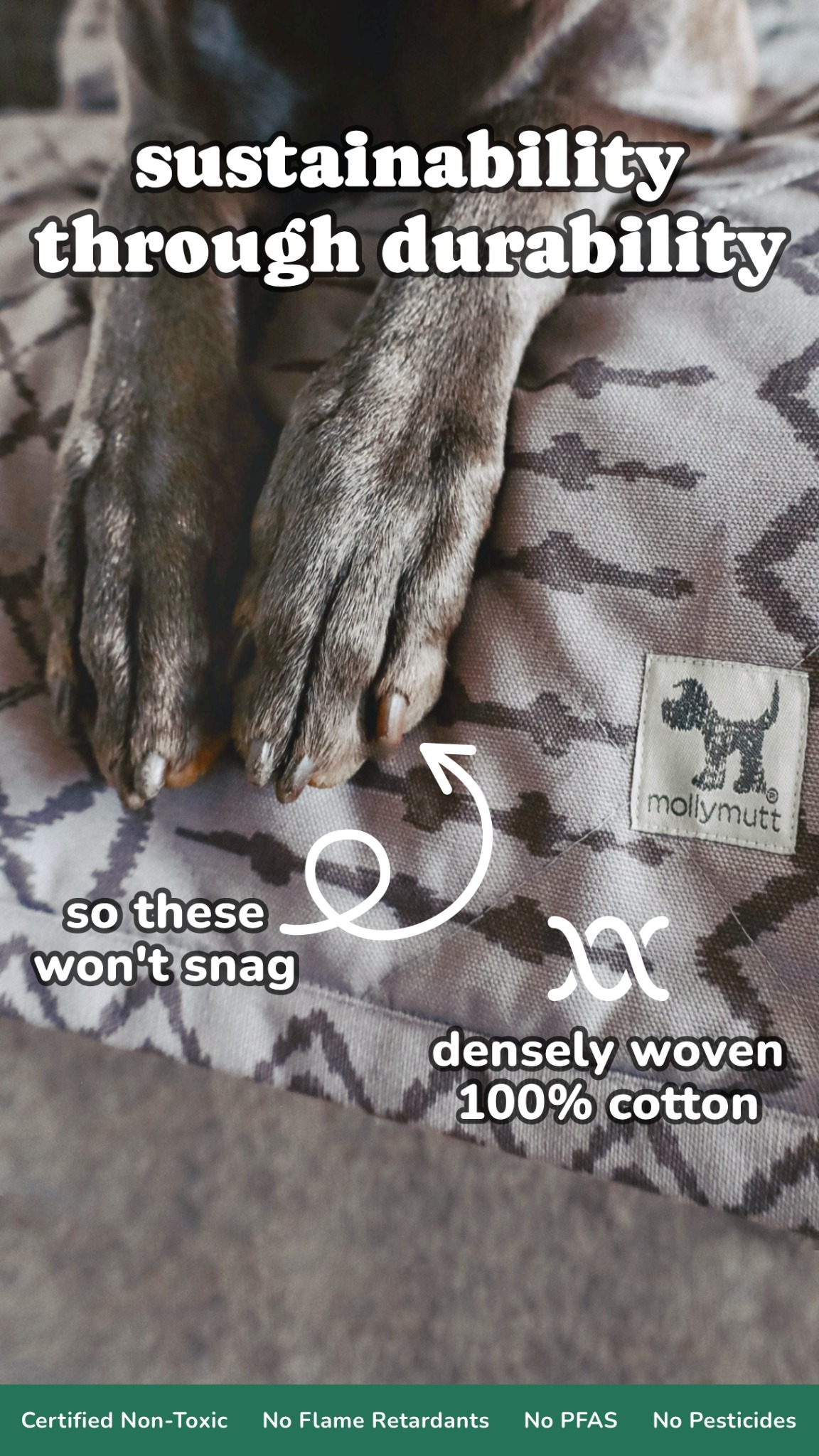 Molly Mutt Facebook ad