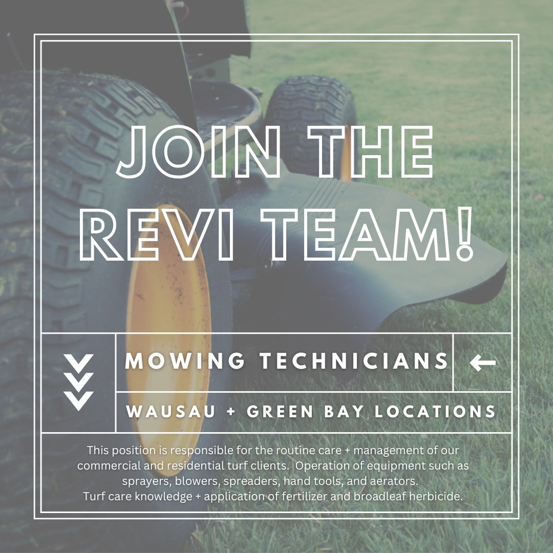 Re ViDesign Facebook ad: EMPLOYMENT | revidesign