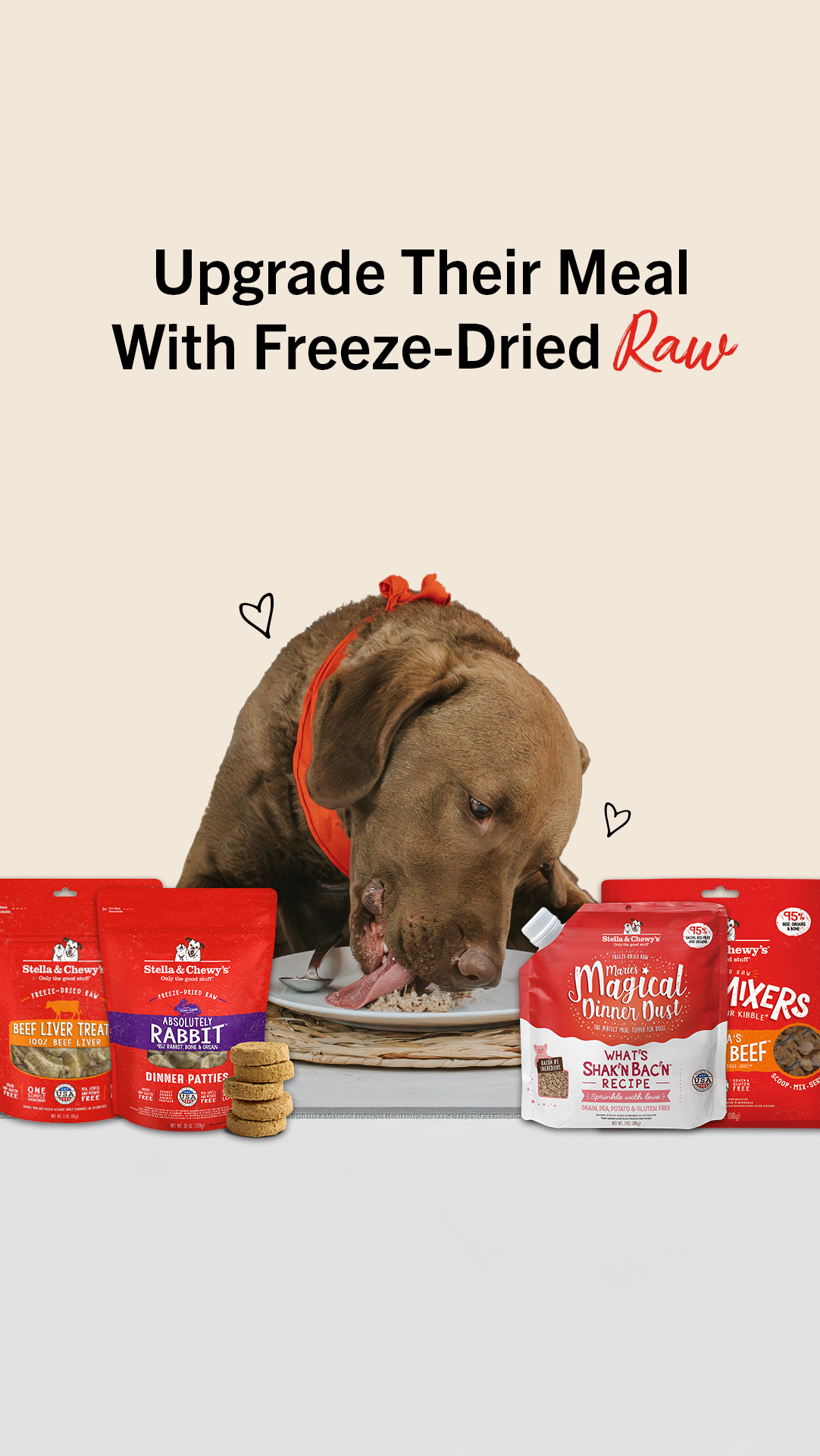 Stella & Chewy's Facebook ad