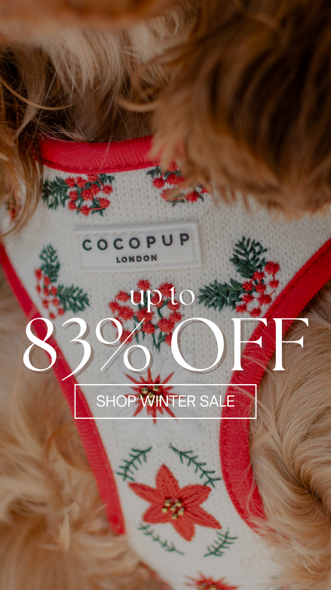 Cocopupuk Facebook ad
