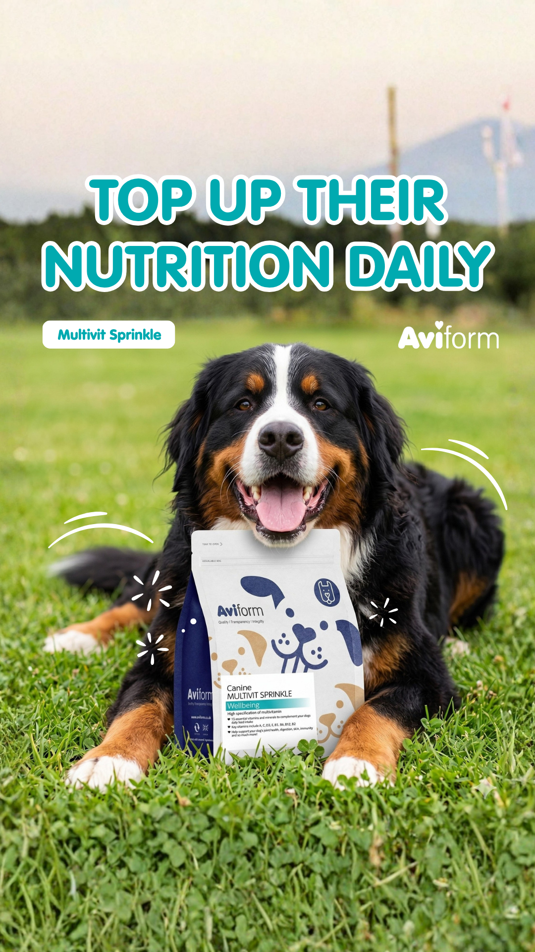Aviform Nutrition UK - Horse & Dog Facebook ad