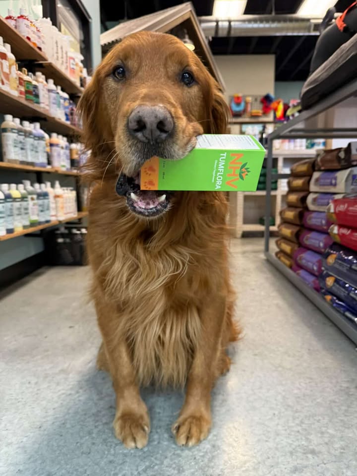 NHV Natural Pet Products Facebook ad
