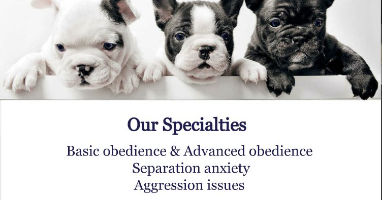 K9 Learning Academy SC Facebook ad