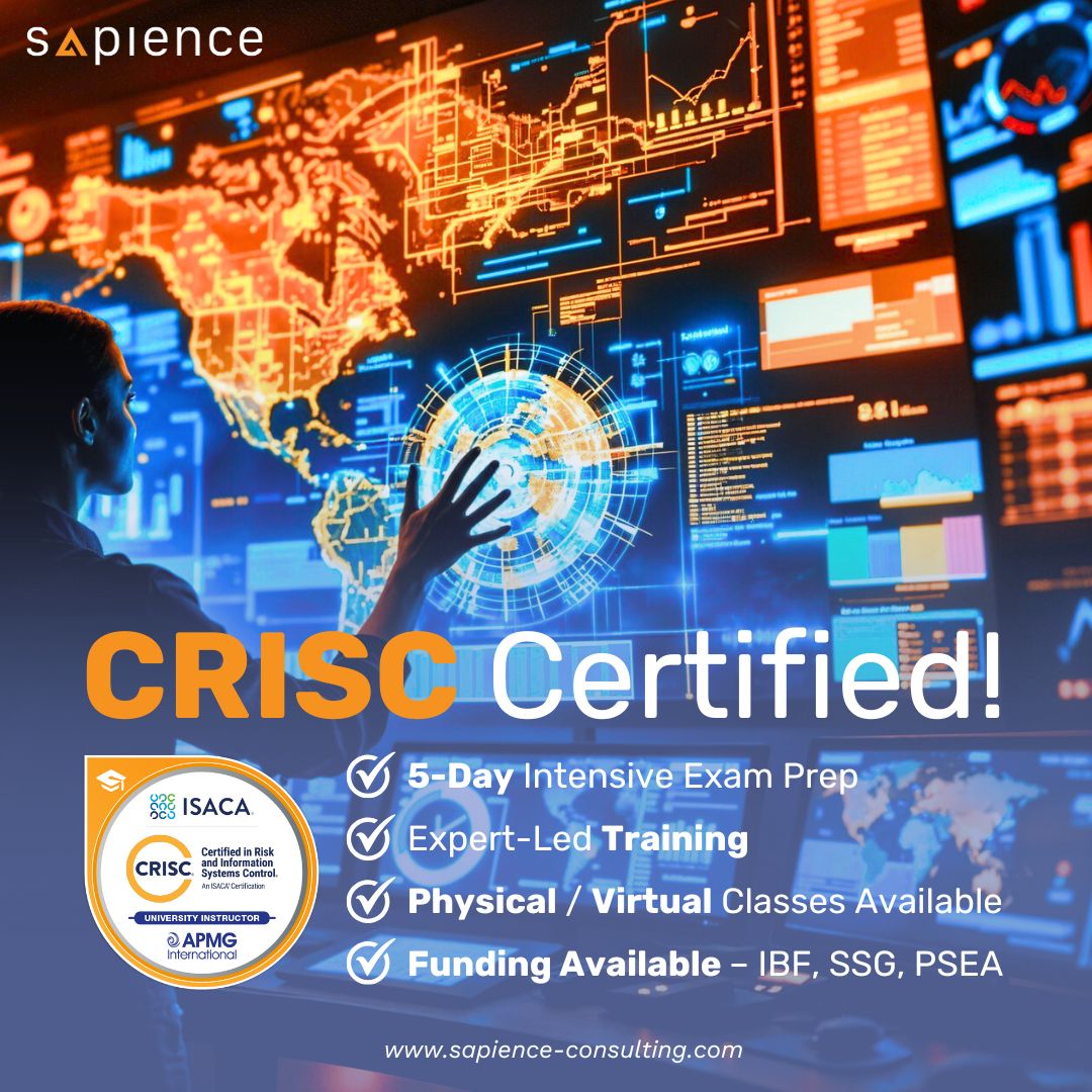 Sapience Consulting Facebook ad