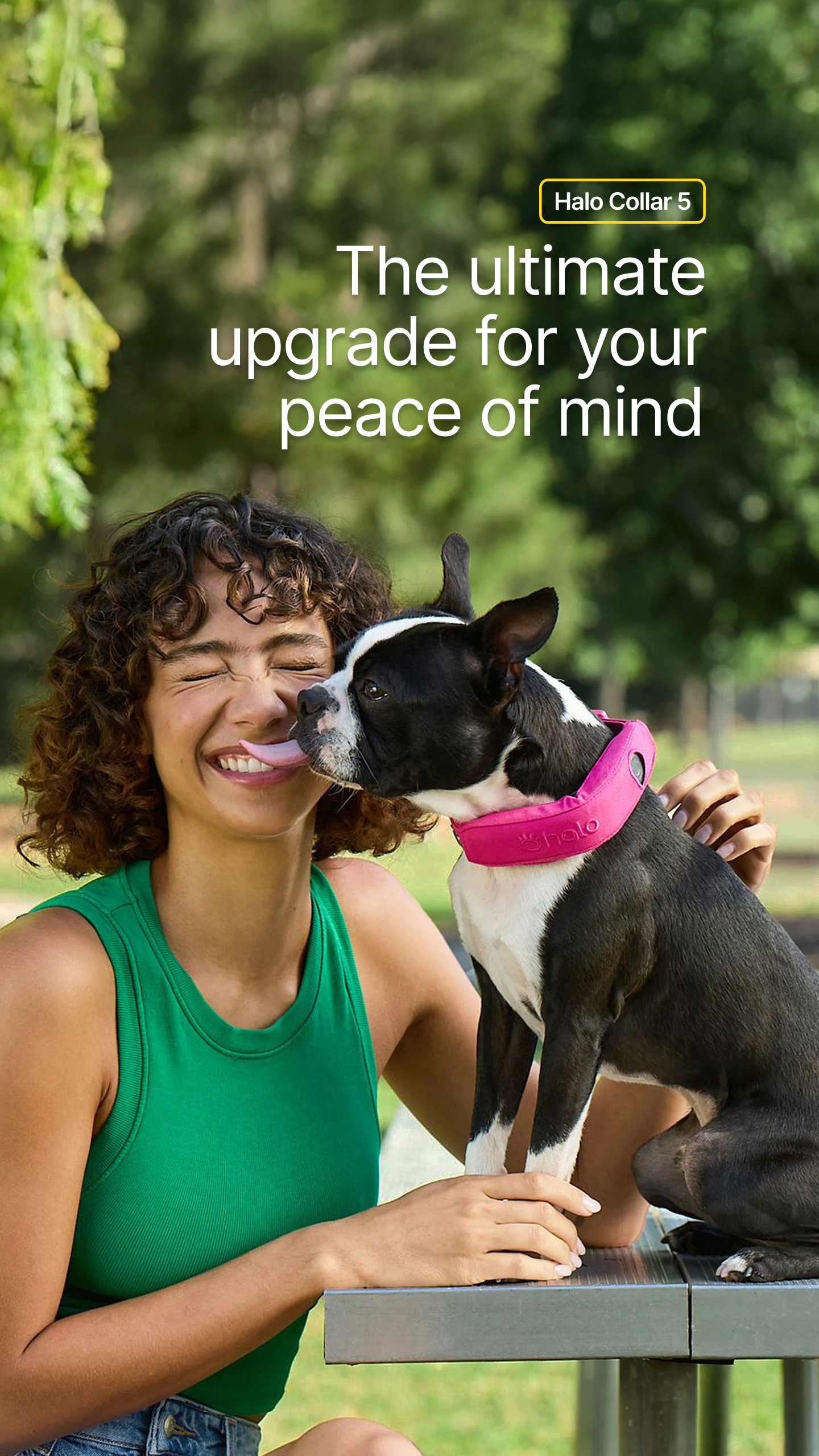 Halo Collar Facebook ad