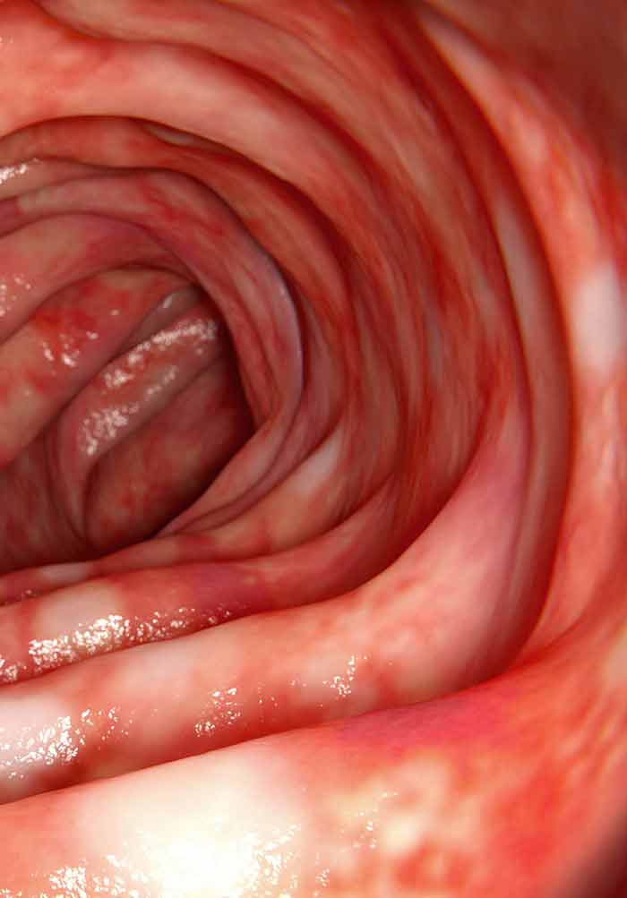 Dr. Patricia Moore PhD Facebook ad: They Treated Symptoms, Not Cause