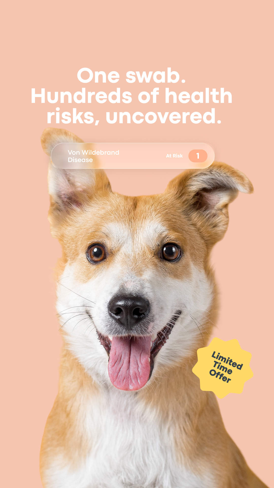 Basepaws Facebook ad from May 8, 2026