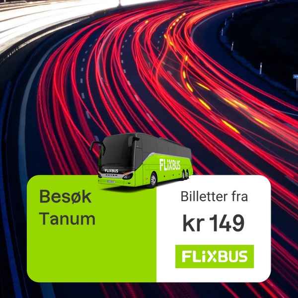 FlixBus Facebook ad