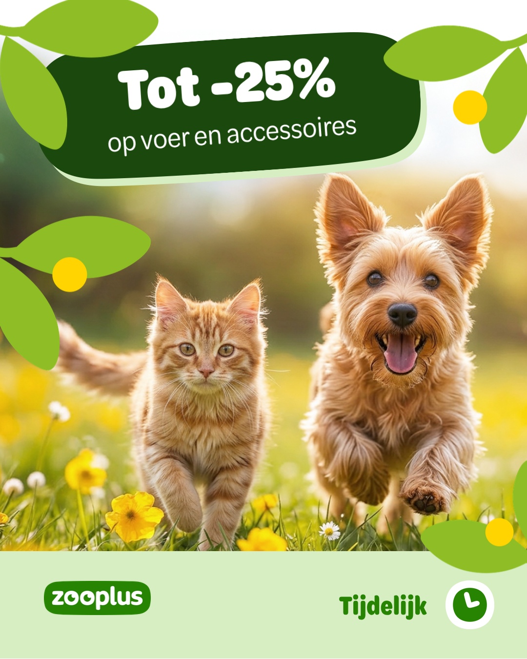 zooplus Facebook ad