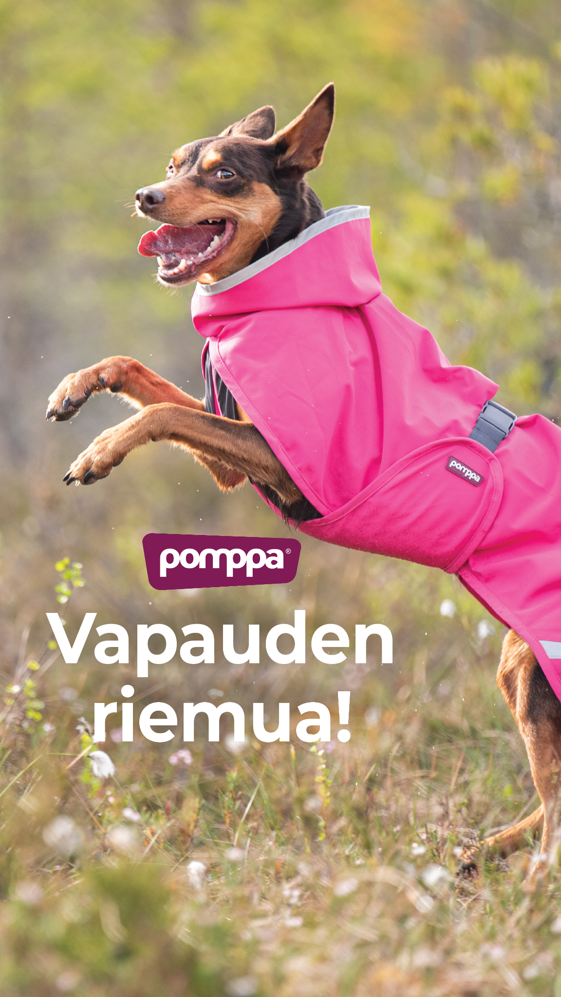 Pomppa Dogwear Facebook ad from Jun 23, 2026