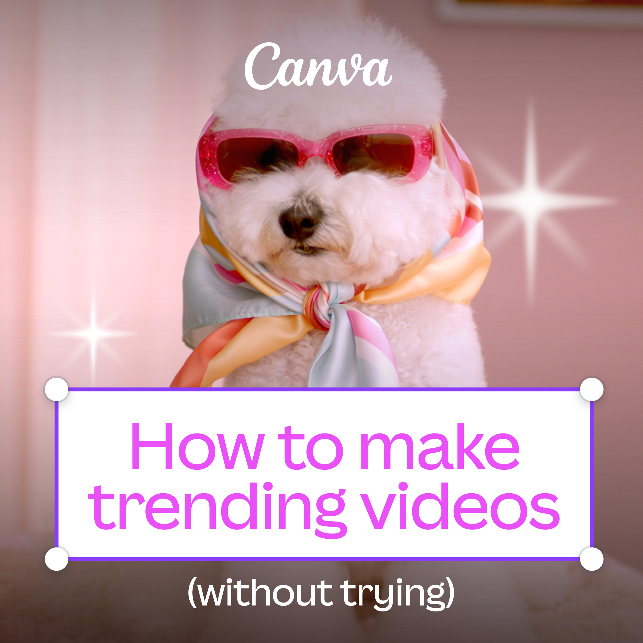 Canva Facebook ad