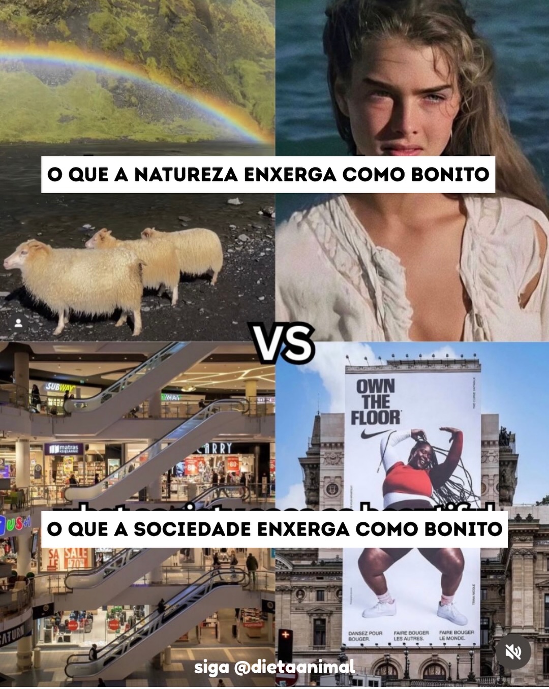 Dietaanimal Facebook ad: Abraçar o natural é caminho para escapar das…