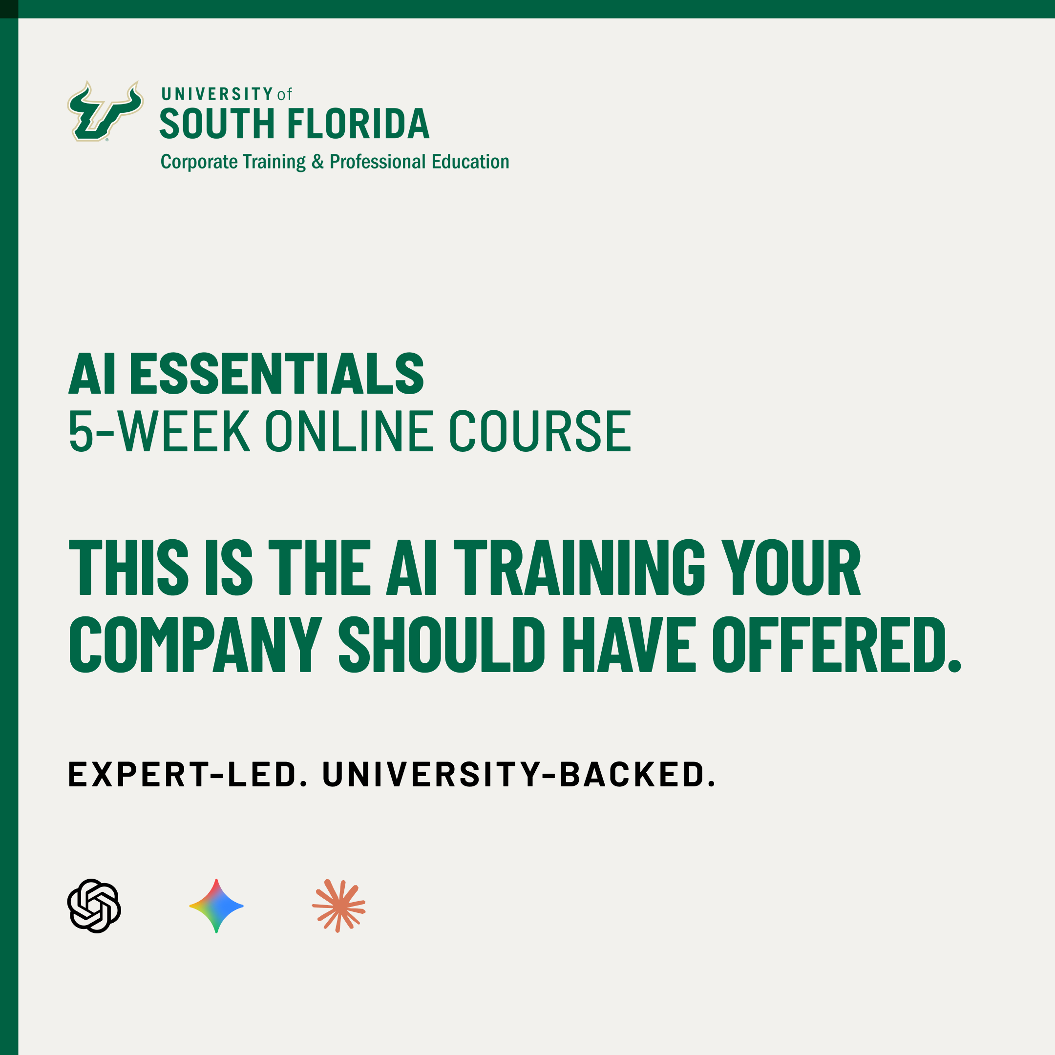 USF Corporate Training and Professional Education Online Certificates Facebook ad