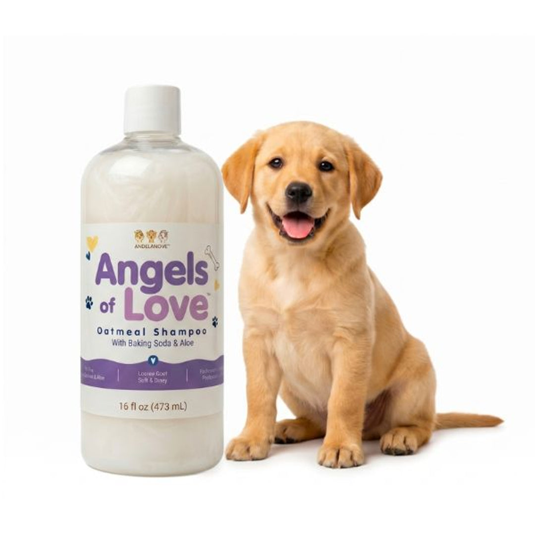 Angels Of Love Pet Care Facebook ad from Jun 5, 2026