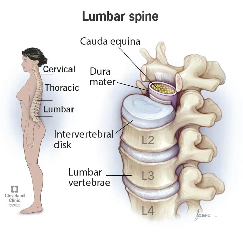 Proactive Chiropractic and Rehab Center Facebook ad