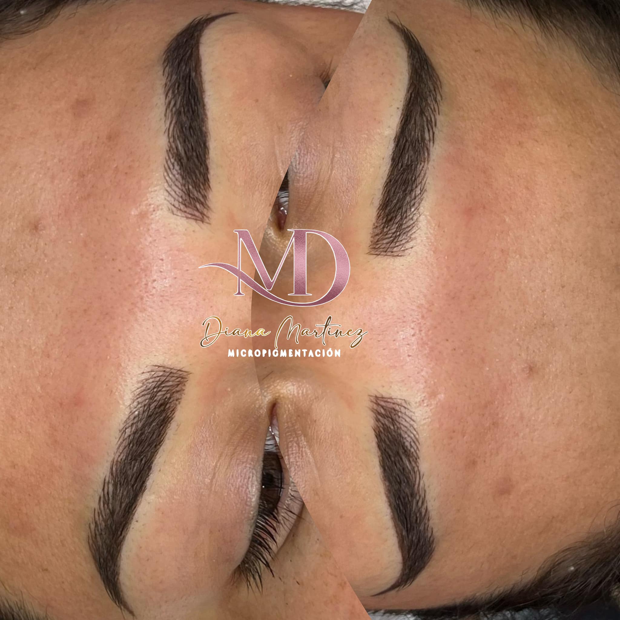 Diana Martinez Micropigmentacion Facebook ad: ¡Despierta con Cejas Impecables