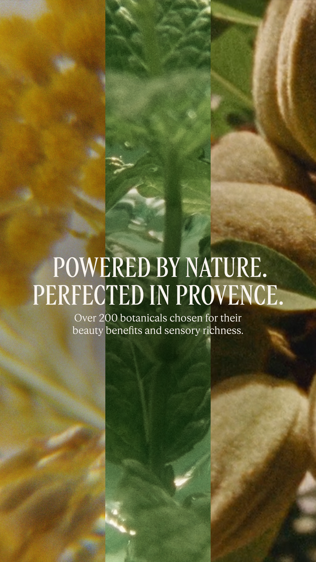 L'OCCITANE en Provence Facebook ad