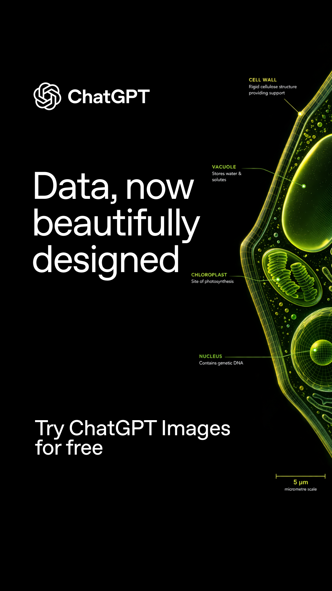 ChatGPT Facebook ad