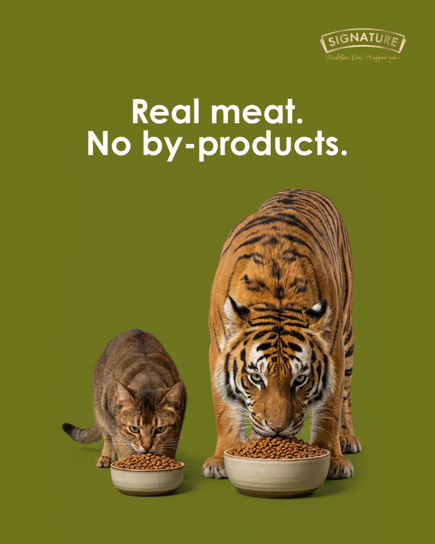 Signature Pet Foods Facebook ad: Big cat or small, one thing stays the…