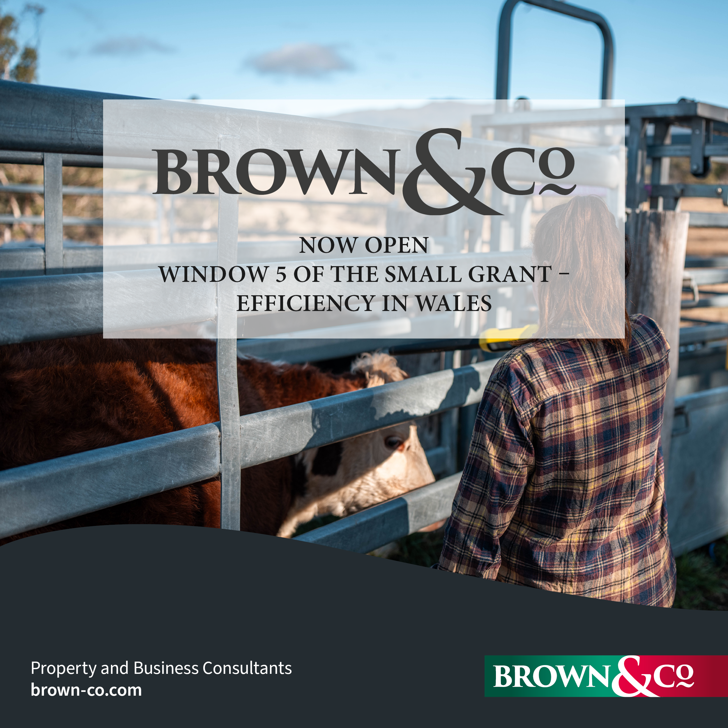Brown&Co Rural Facebook ad: Access Livestock Funding