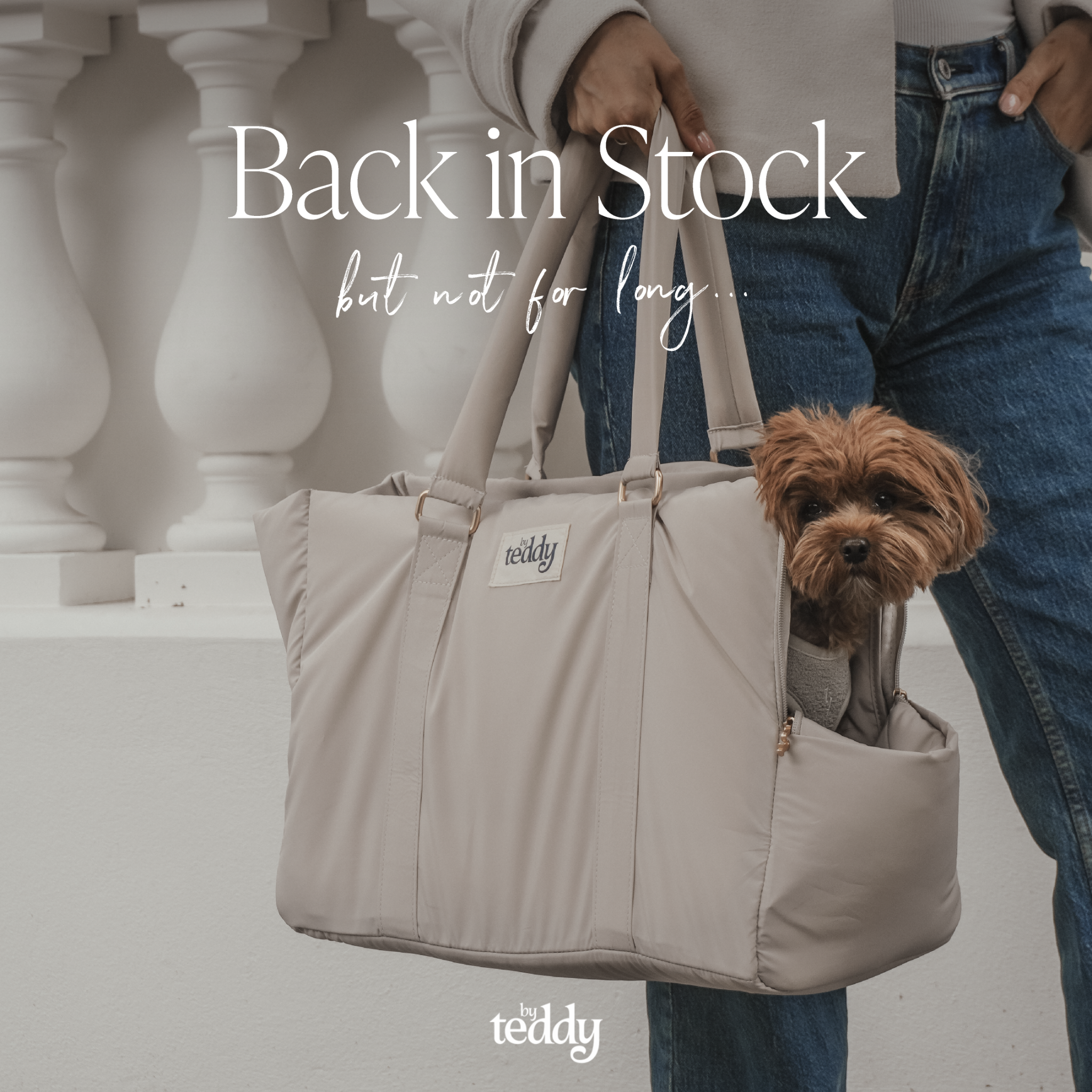By Teddy Facebook ad