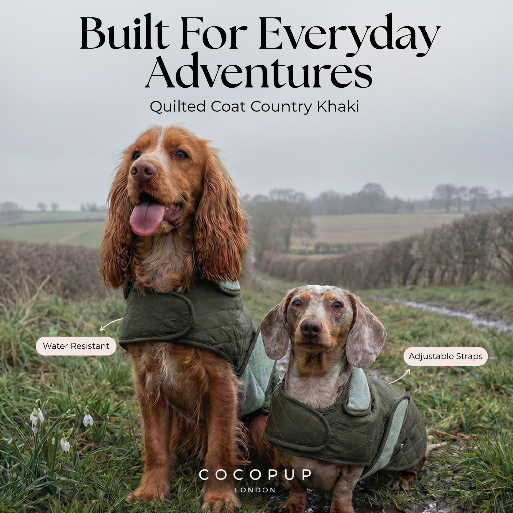 Cocopupuk Facebook ad