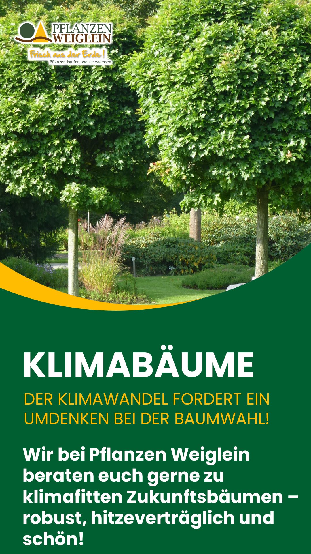 Pflanzen Weiglein Facebook ad: Zukunft pflanzen, heute handeln!