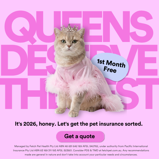 Fetch Facebook ad