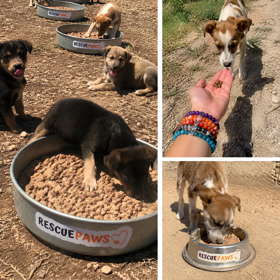 Rescue Paws Facebook ad