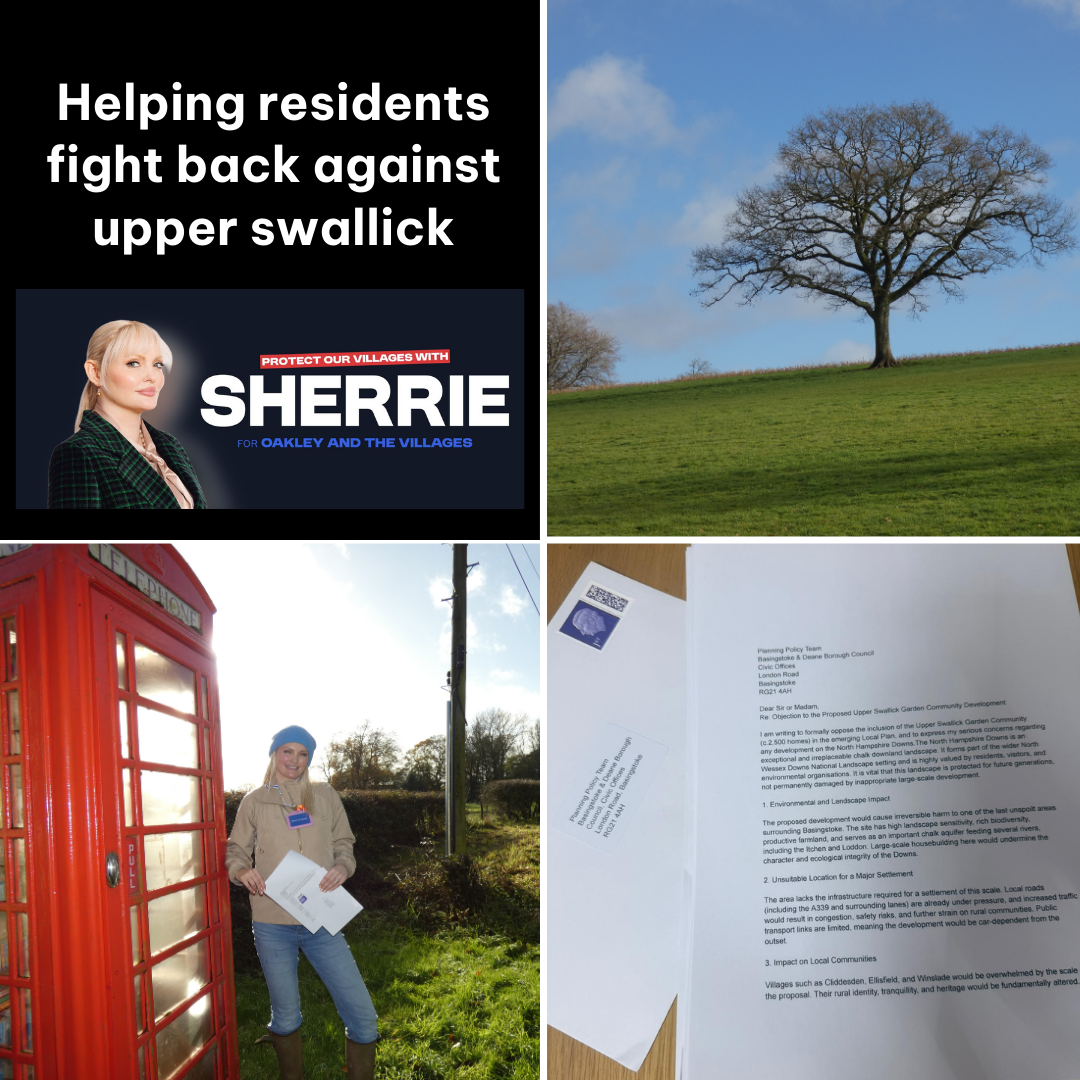 Sherrie De Kiguchi Facebook ad: While knocking on doors in Ellisfield, it’s clear…