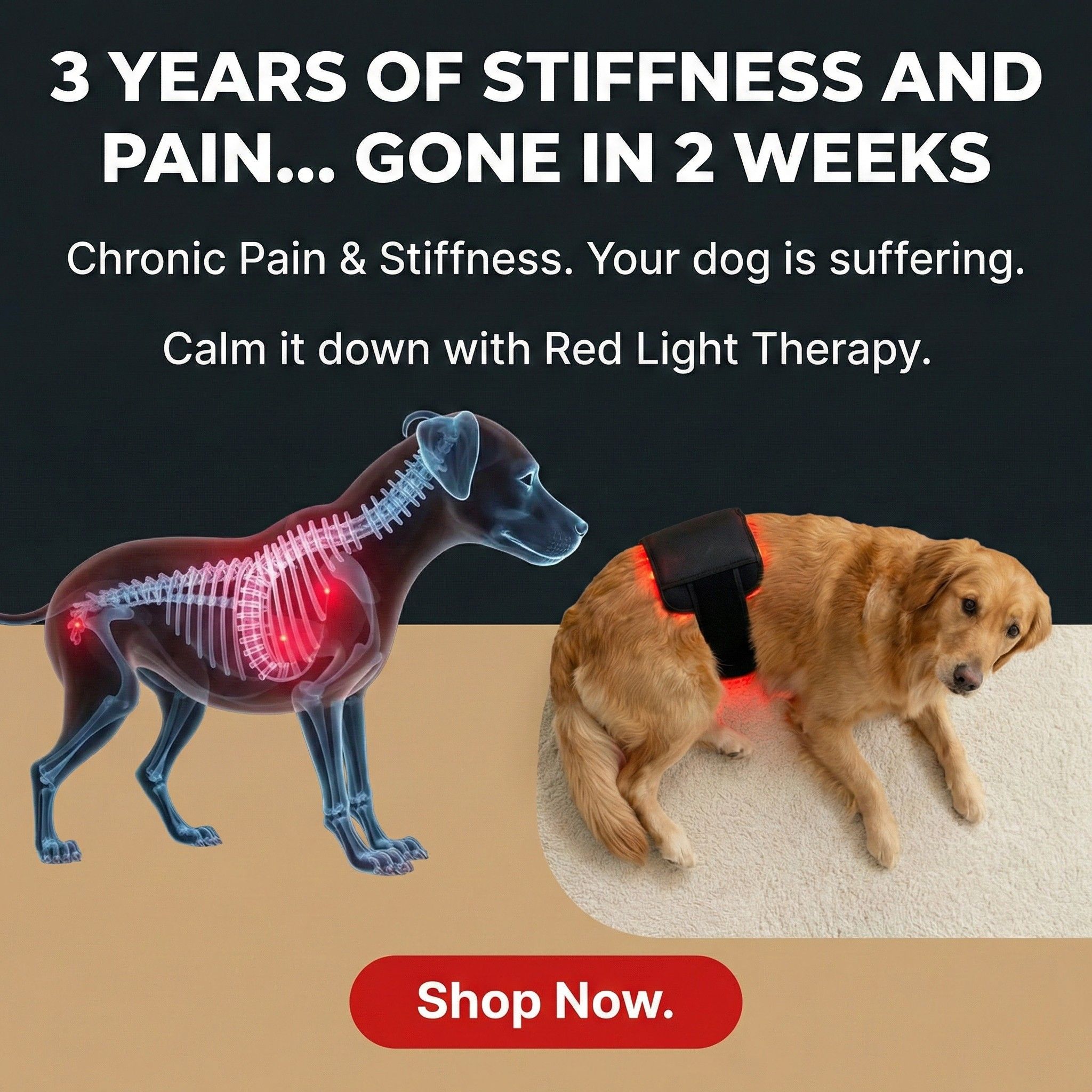 Therapet Co Facebook ad