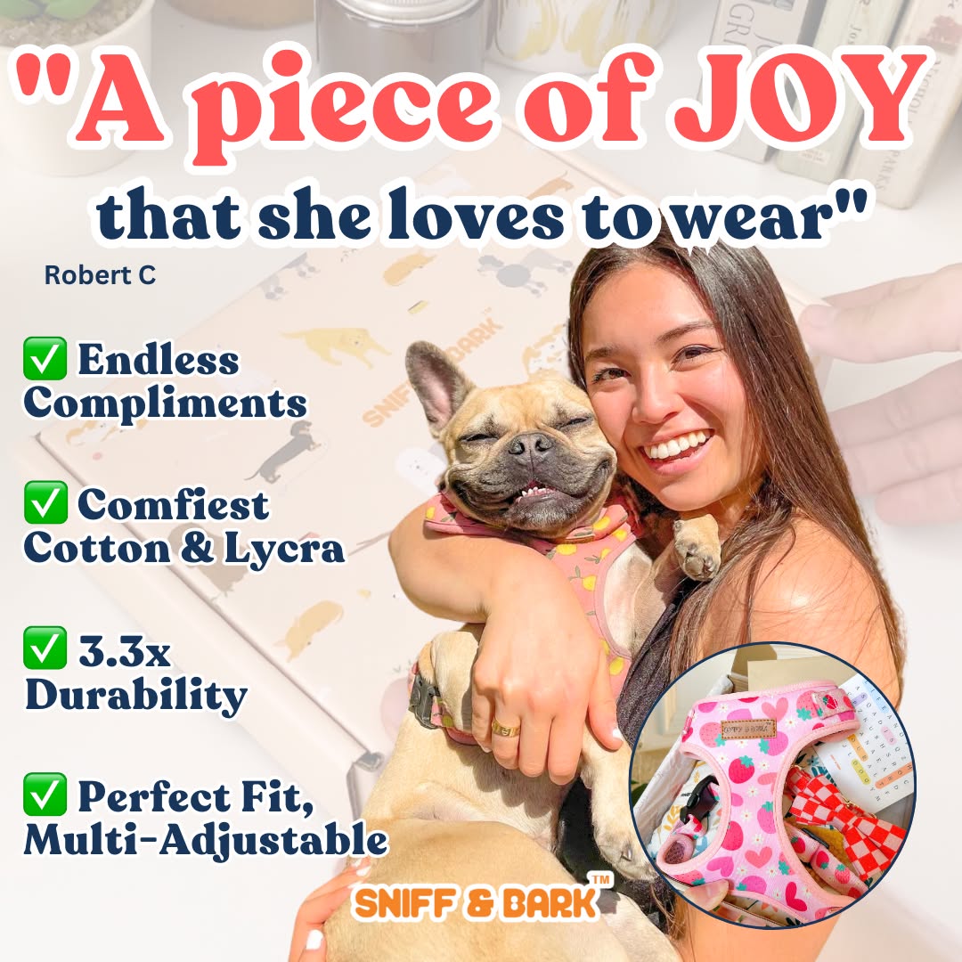 Sniff & Bark Facebook ad